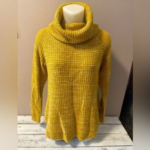 Cowl/Turtleneck Sweater